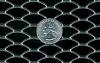 Oil Cooler screen prototypes-oval-moon.jpg