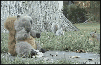 Name:  8923bc04.gif
Views: 110
Size:  1.98 MB