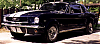 stripes or no stripes-mustang.gif