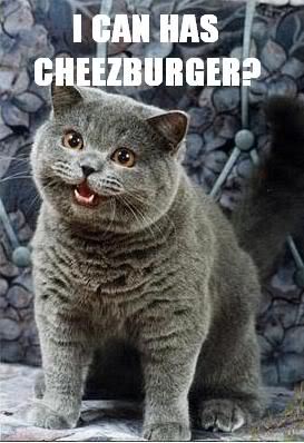 Name:  i-can-has-cheezburger.jpg
Views: 73
Size:  26.9 KB