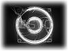 DDE (Angel Eyes) Install Done -- Photos Inside!!-dual-cold-cathode-round-white-80-mm.jpg