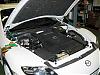 Anyone have Tein hood dampers?-tein-1.jpg