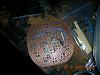 My ongoing LED conversion...-dscn2744.jpg