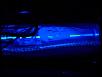 Check out my Subs, custom fiberglass-cimg0784.jpg
