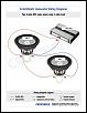 Does anyone know of this sub box??-2dvc_4-ohm_mono.jpg