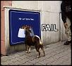 Pettit Super Charger Owners-dog.jpg