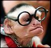 Pettit Super Charger Owners-glasses.jpg