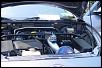 calling all BOV's-picture-032.jpg