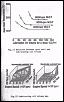 Deleting the Oil Metering Pump System-89_omp2.jpg