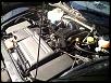 Pettit Super Charger Owners-20110304124748.jpg