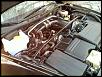 Pettit Super Charger Owners-mooncar7.jpg