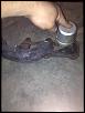 modification of greddy manifold and downpipe-078.jpg