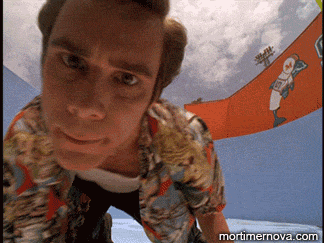 Name:  WhatsThat.gif
Views: 90
Size:  1.07 MB