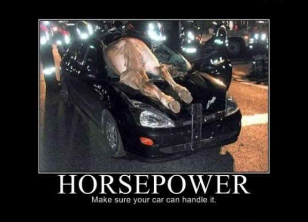 Name:  Horse-Power.jpg
Views: 63
Size:  32.7 KB
