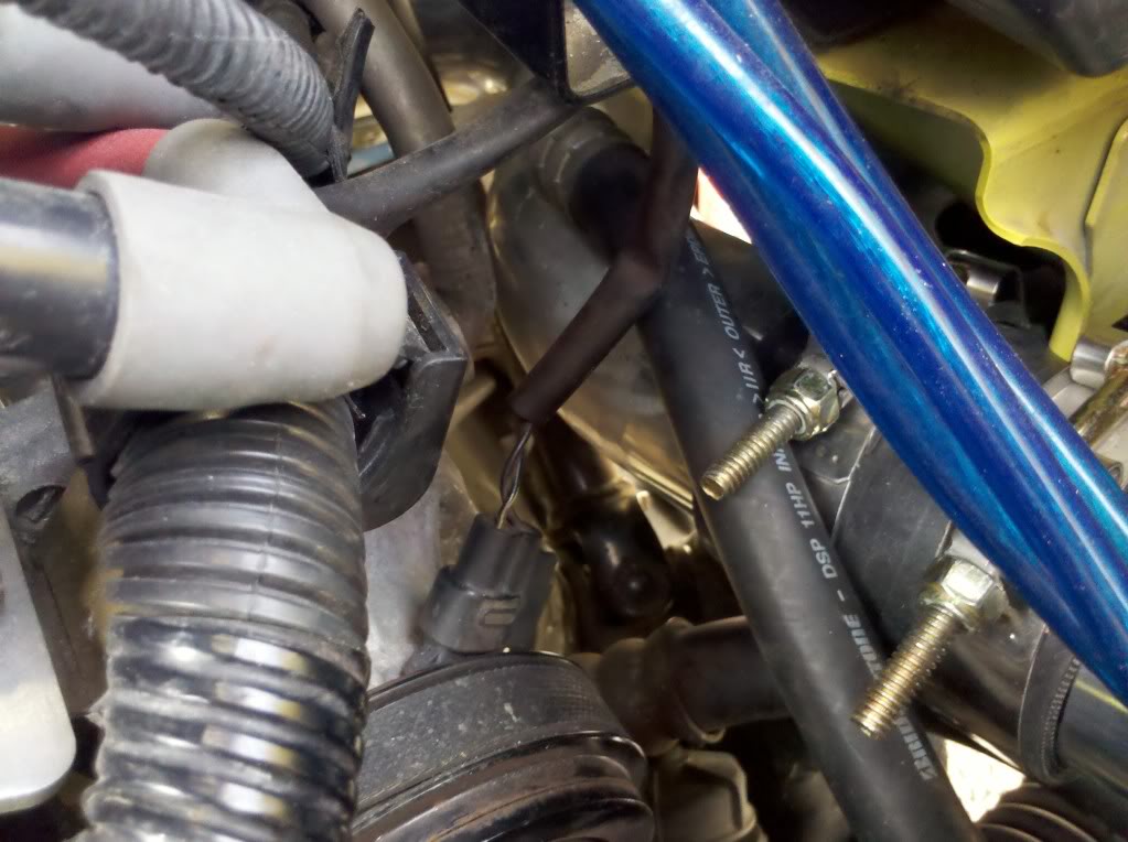 Name:  IMG_20100923_122021.jpg
Views: 2101
Size:  129.8 KB