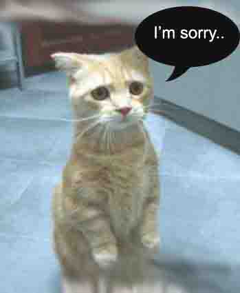 Name:  sorry.jpg
Views: 72
Size:  5.3 KB