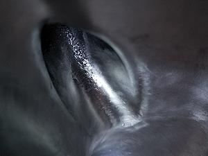 Pettit Super Charger Owners-20180218_200051.jpg