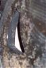 The Great Renesis Porting Project!-exhaust-path.jpg