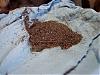 The Great Renesis Porting Project!-shavings.jpg