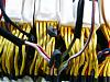 Definitive Greddy Turbo Fixes - Here they are-injector-wires.jpg