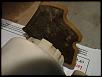 Frankenpump and Premix-dscf3155-large-.jpg