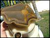 Frankenpump and Premix-dscf3157-large-.jpg