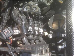 Not just the average LS2 coil question-coils.jpg