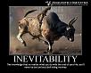rx8 w/ 20b twin turbo-bull-riding-monkey.jpg