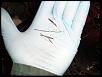 Check this out - cracked corner seals-p1010521.jpg