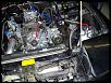 dual oil filter question-dualfeeds.jpg