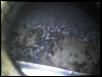 Decarbing - Before and After Rotor Pics-untitled-417.jpg