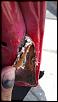 Possible Mazda panel joint compound corrosion issue.-imag2013.jpg