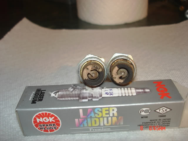 Name:  DSC01594-1.jpg
Views: 452
Size:  42.7 KB