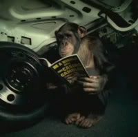 Name:  TrunkMonkey1.jpg
Views: 122
Size:  7.1 KB