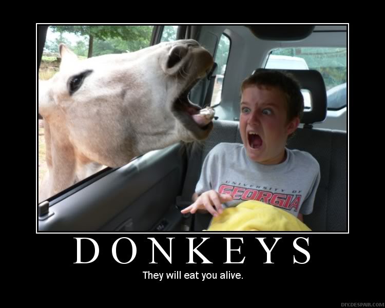 Name:  MotivationalPosters-Donkeys.jpg
Views: 143
Size:  50.5 KB