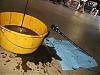 Changing fluids =easy/fun-112_1217.jpg
