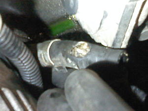 Coolant leak, Throttle body?-0404181555.jpg
