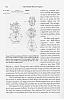 efficiency of the rotary engine-rr3.jpg