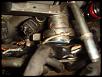 rat ate the rx8....-dsc03863.jpg