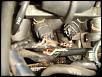 rat ate the rx8....-dsc03864.jpg