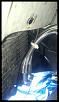 Oil leak with Pictures-ghood-pic-3.jpg