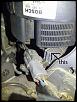Squirrel  Damage-other-box-sm-copy.jpg