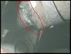 Bad water pump or hose?-drip1.jpg