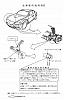 RX-8 Control Arm/Ball Joint Problems RECALL-1489b1.jpg