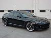 Black, Black on Black!-dsc01584-msm.jpg
