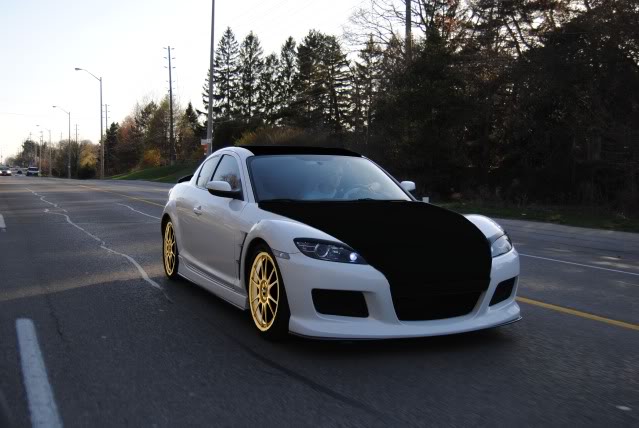 Name:  newpaint1withrims2.jpg
Views: 55
Size:  53.3 KB