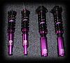 D2 Racing Coilovers-d2-coilovers.jpg