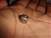  For Factory Tire Pressure Cap?!!-caps-001.jpg