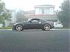Poll: Black or Gold?-dsc00190.jpg