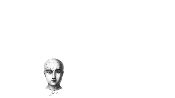 Name:  ZtDnD.gif
Views: 28
Size:  252.2 KB